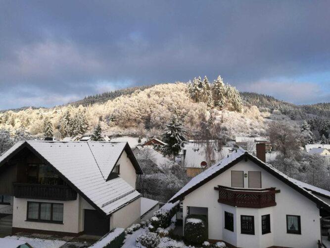 Spacious Flat In Adenau Near The N Rburgring Dış mekan fotoğraf